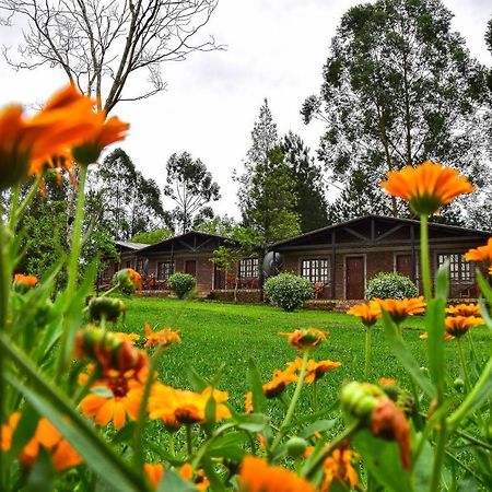 Hotel Las Azaleas Jardín América المظهر الخارجي الصورة