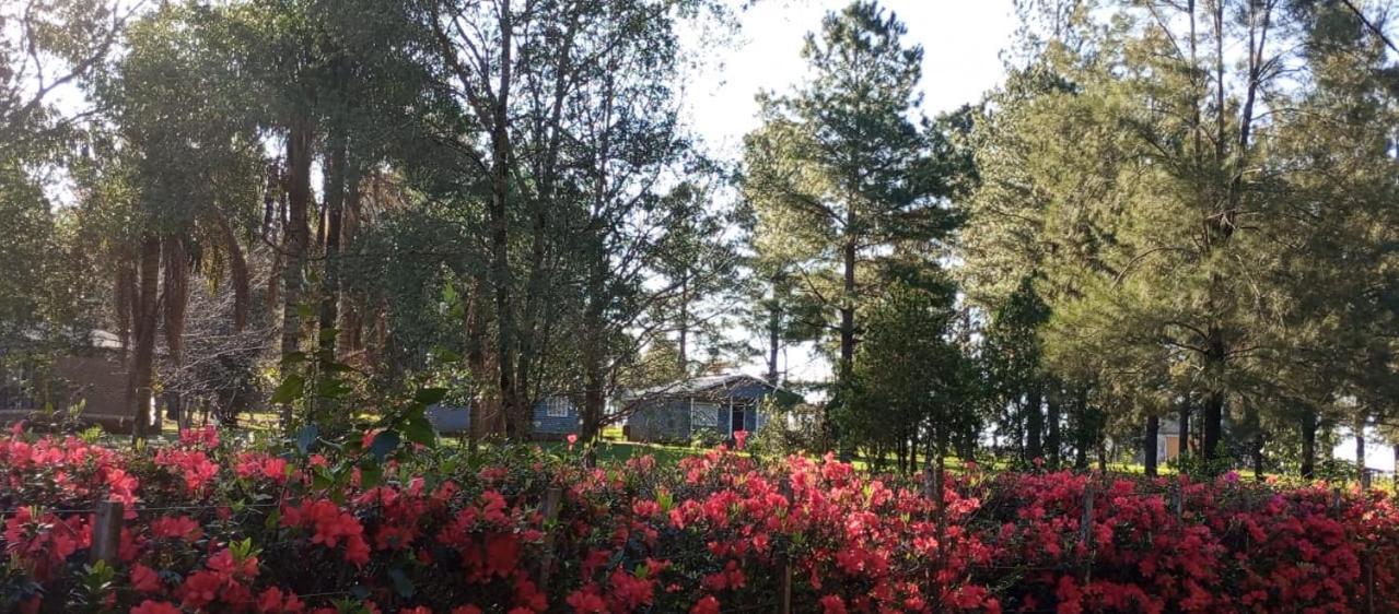 Hotel Las Azaleas Jardín América المظهر الخارجي الصورة