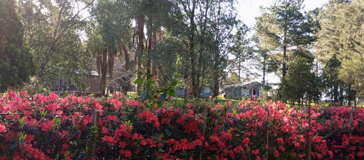 Hotel Las Azaleas Jardín América المظهر الخارجي الصورة