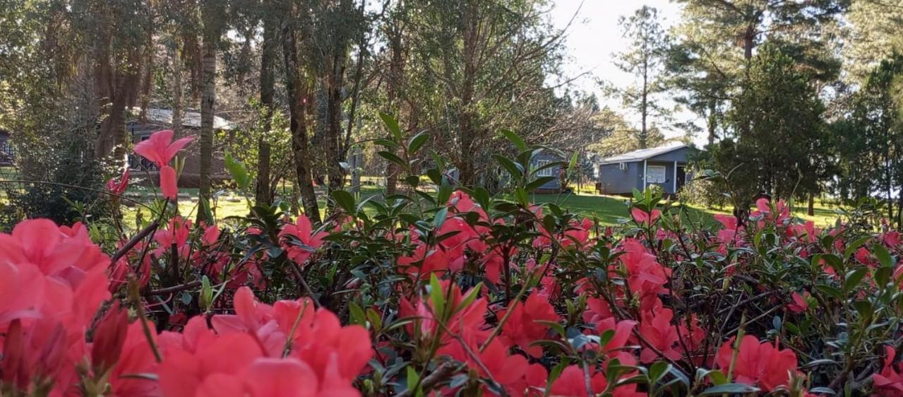 Hotel Las Azaleas Jardín América المظهر الخارجي الصورة