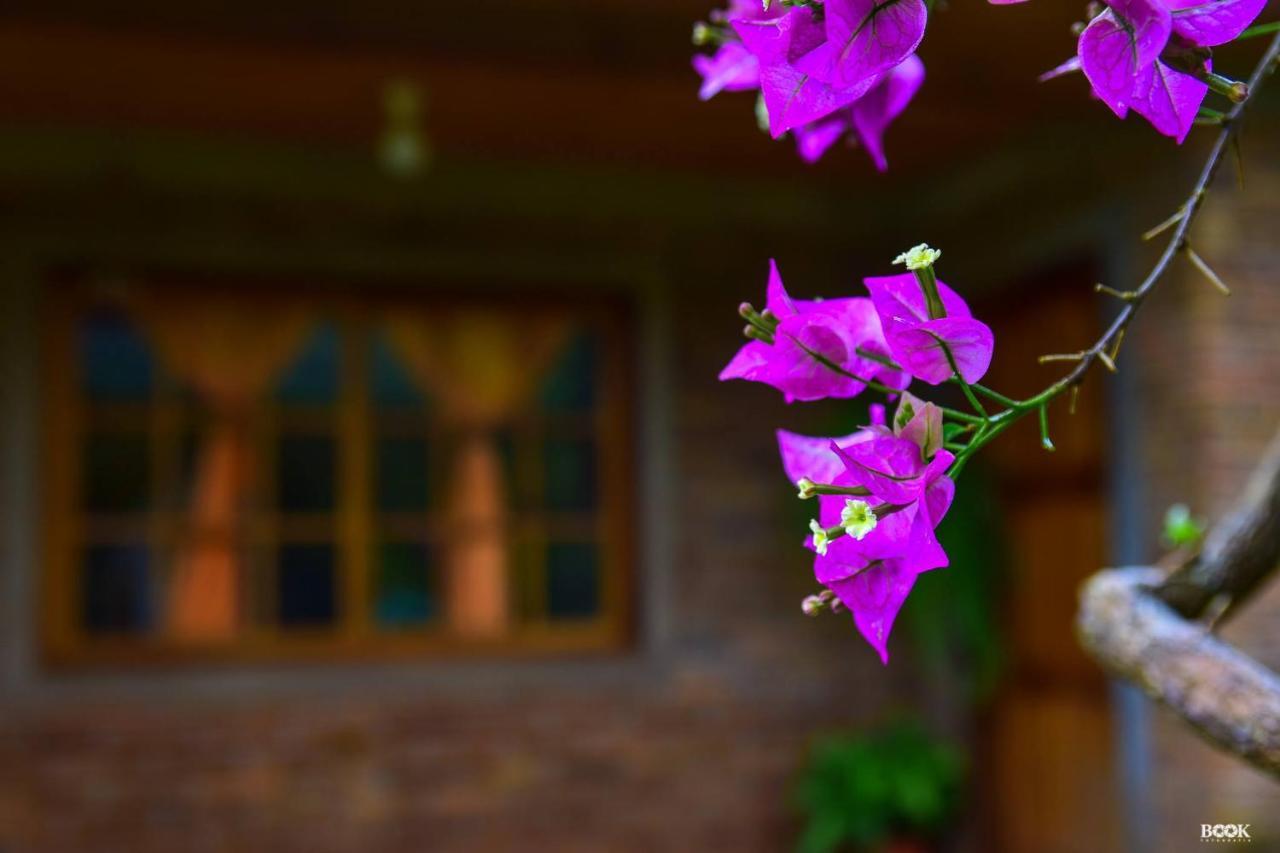 Hotel Las Azaleas Jardín América المظهر الخارجي الصورة