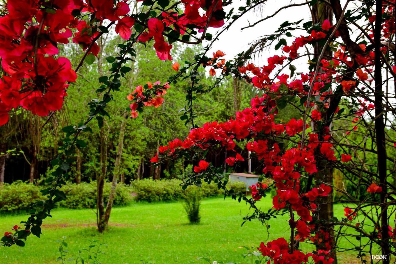 Hotel Las Azaleas Jardín América المظهر الخارجي الصورة