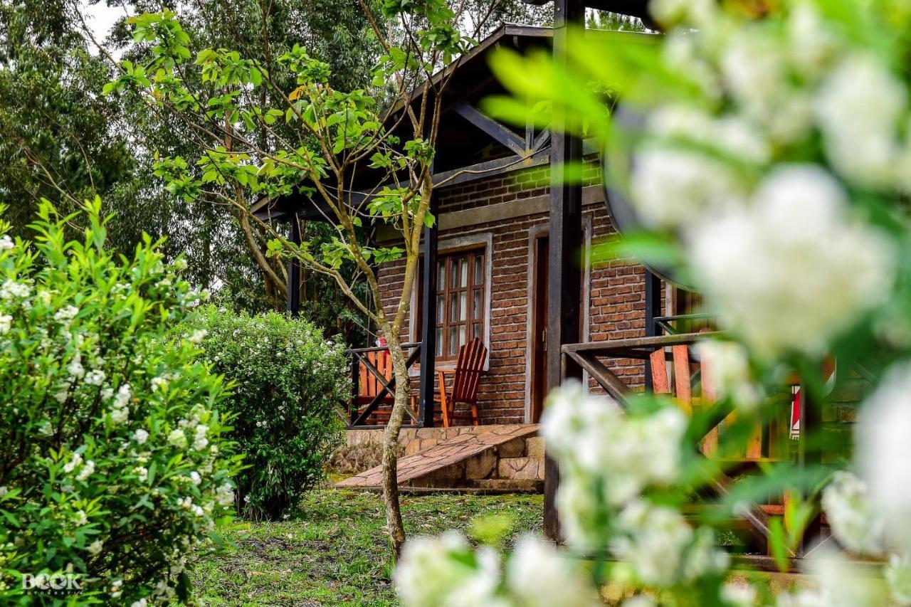Hotel Las Azaleas Jardín América المظهر الخارجي الصورة