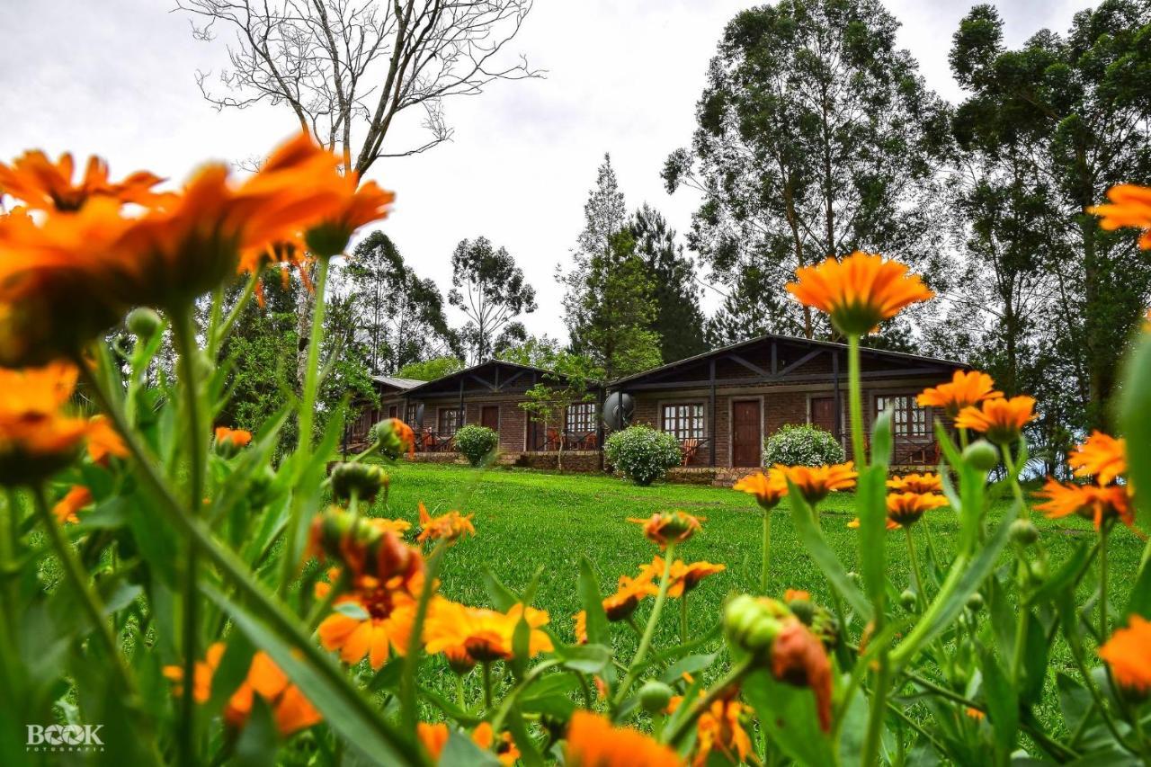 Hotel Las Azaleas Jardín América المظهر الخارجي الصورة